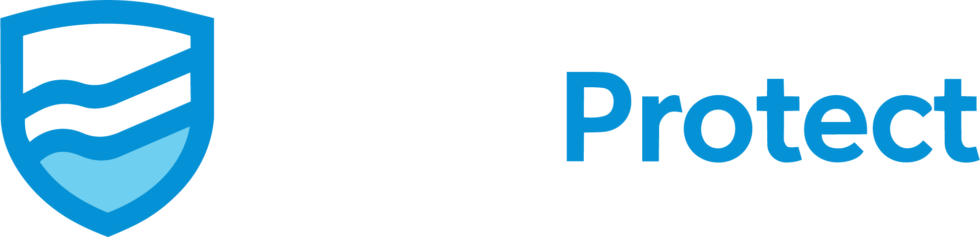 DanaProtect